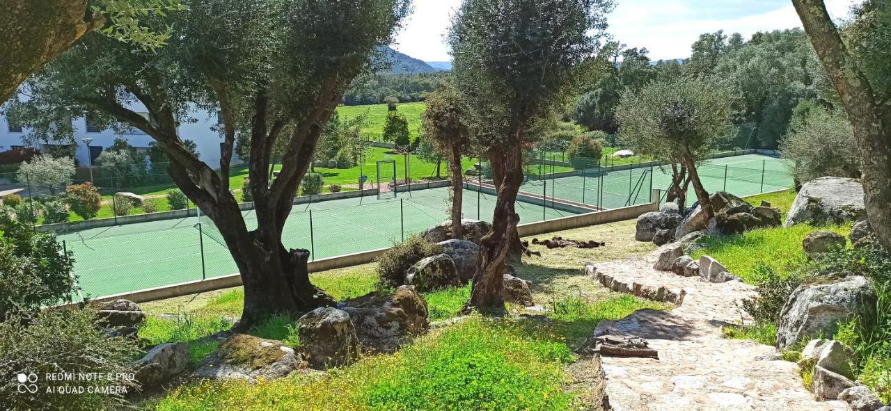 Arca C14 Daire Porto-Vecchio  Dış mekan fotoğraf