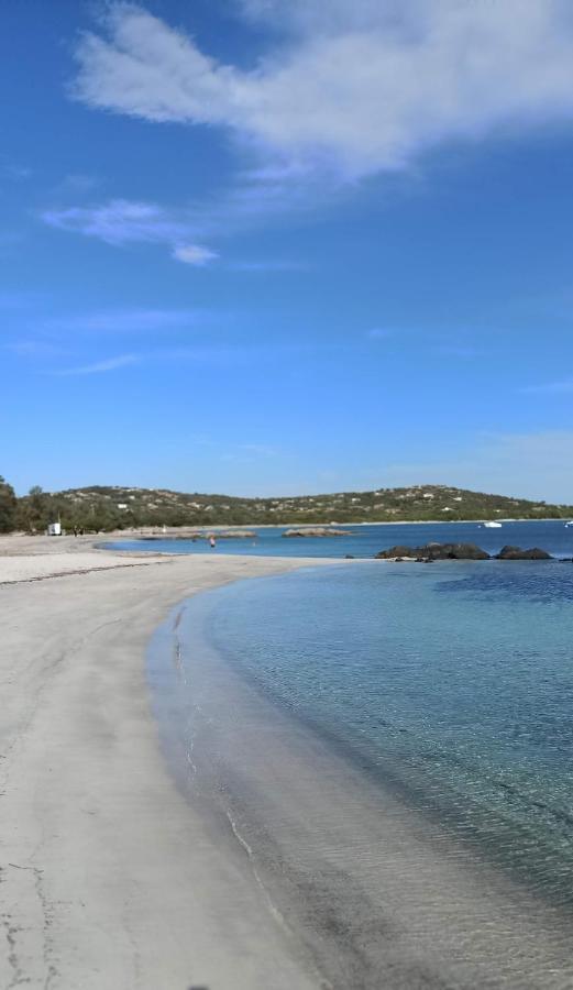 Arca C14 Daire Porto-Vecchio  Dış mekan fotoğraf