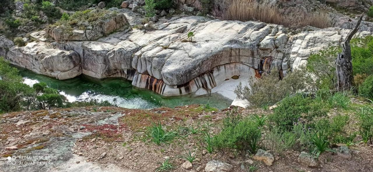 Arca C14 Daire Porto-Vecchio  Dış mekan fotoğraf